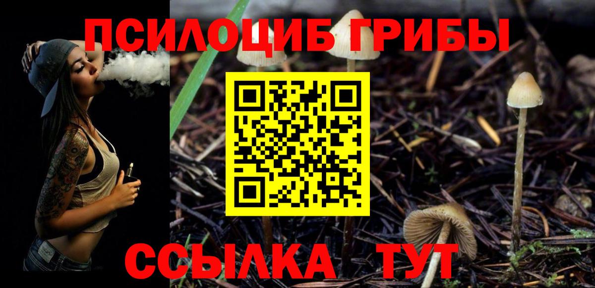 Галлюциногенные грибы Magic Shrooms Урюпинск